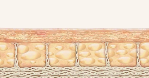 seoul anti-aging clinic